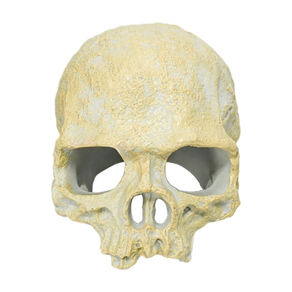 Resin Reptile Hideout for Tank Realistic Skull Decor for Terrarium Decorative Skeleton Head Hides and Caves for Fish Ball Python Axolotl Tarantula Beige