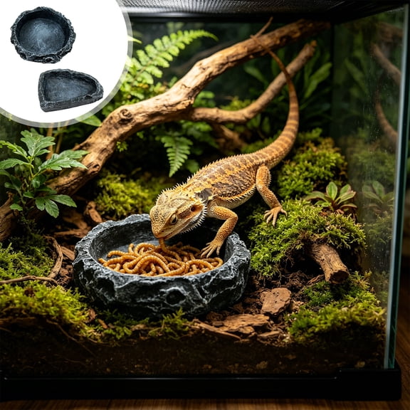 Resin Rock-Shaped Food and Water Bowl for Turtle, Lizard, and Hermit Crab Terrariums
