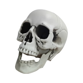 Resin Skull Decor, Plastic Skull Model for Home, Skull Art Copy for Halloween Decor