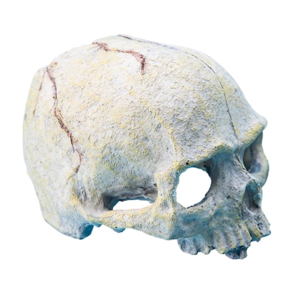 Resin Skull Head Figurine Hideouts Cave Shelter House For Fish And Reptiles