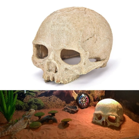 Resin Skull Ornament, Vintage Skeleton Head Tabletop Decoration with Realistic Carved Details Stable Freestanding Display, for Halloween Home Decor Party Table Shelf Gothic Scene