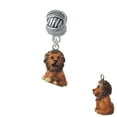 thumbnail image 1 of Resin Tan Lion - Large Rope with Cross Beads Charm Bead, 1 of 1