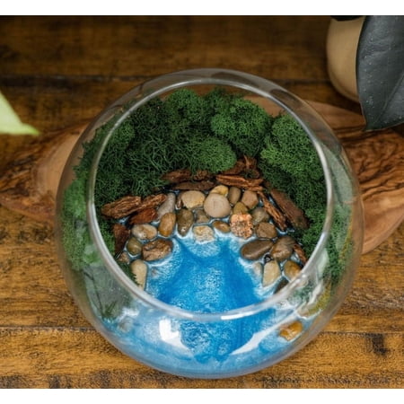 Resin Terrarium Kit