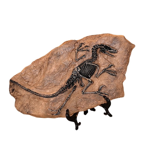 Resins Dinosaur Fossils Figure Statue Model Simulated Skeleton Figurine Home Office Shelf Display Decorative Ornament