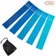 Resistance Loop Exercice Bands with Instruction Guide and Carry Bag, Pilates Flexbands, Set of 5, Blue
