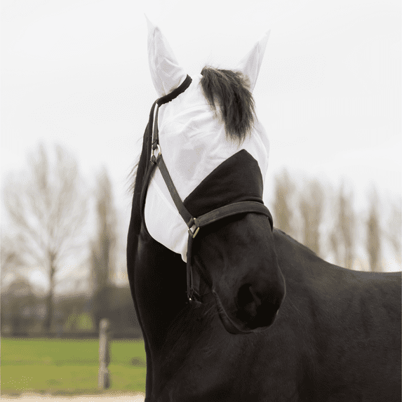 Resistance Horse Fly Mask with Ears, Fine Mesh Material - Ultimate Insect Defense