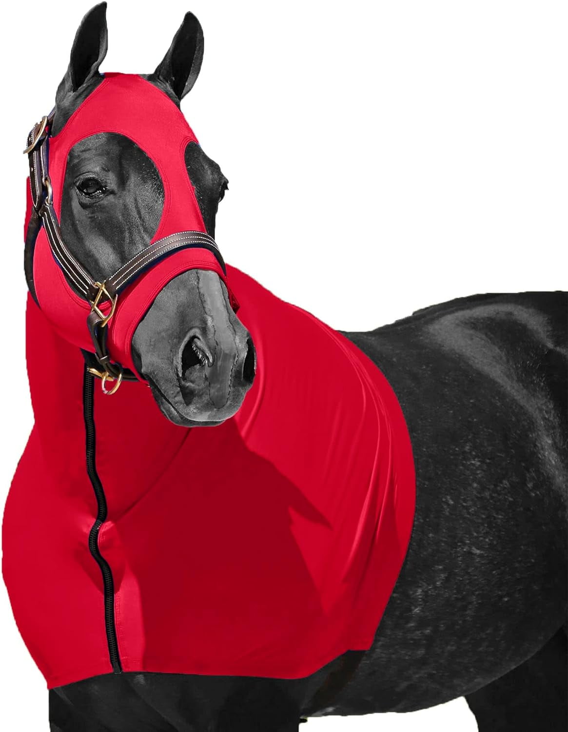 Resistance Horse Hood Slinky Lycra Zippered Mane Braid Shoulder Guard 