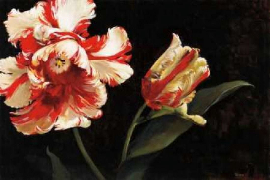 Resplendent Canvas Art - Jennie Tomao (24 x 36)