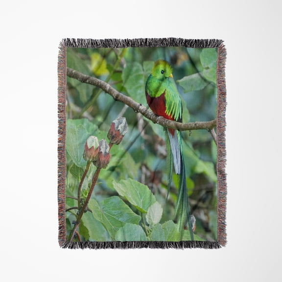 Resplendent Quetzal, Costa Rica 2., Woven Blanket
