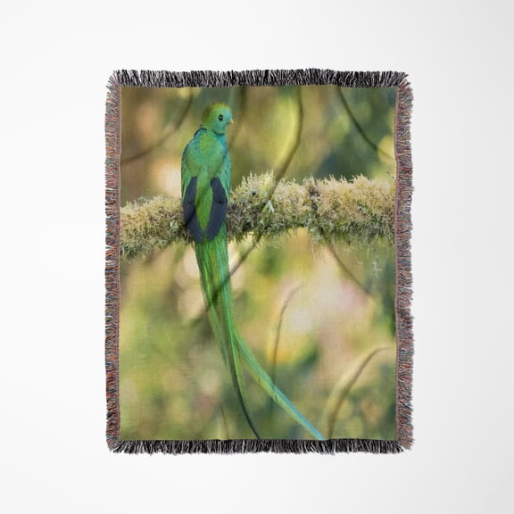 Resplendent Quetzal, Costa Rica 3., Woven Blanket