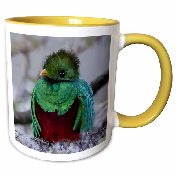 3drose, Resplendent Quetzal, Male, 11oz Two-tone Yellow Mug