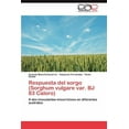 thumbnail image 1 of Respuesta del sorgo (Sorghum vulgare var. BJ 83 Caloro) (Paperback), 1 of 1