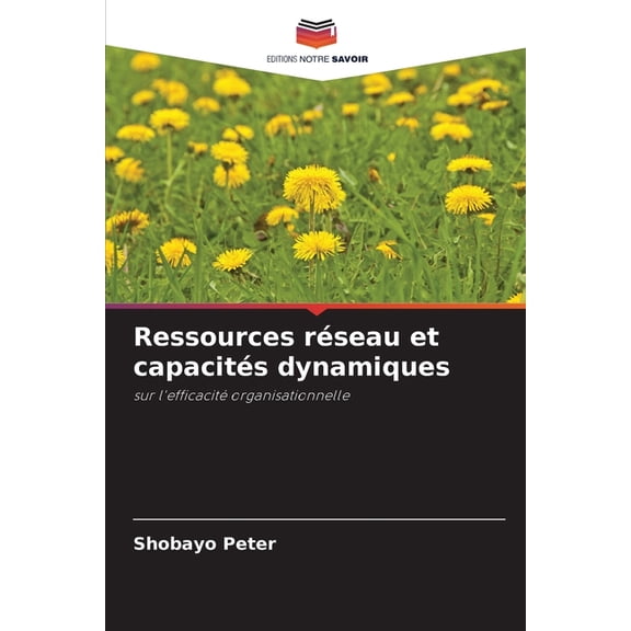 Ressources rseau et capacits dynamiques, (Paperback)