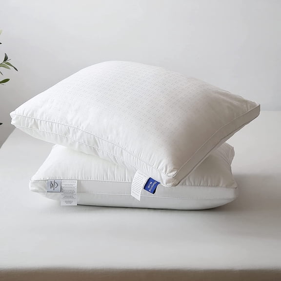 Rest Defender Hypoallergenic Hotel Collection Pillows (2x King)