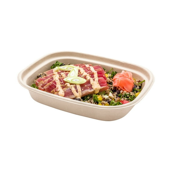 Pulp Tek Rectangle Clear Plastic Dome Lid - Fits 12 and 16 oz Bagasse Container - 100 count box