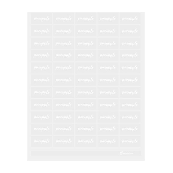 Label Tek Plastic Pineapple Label - Clear with White Font, Water-Resistant - 2" x 1" - 100 count box