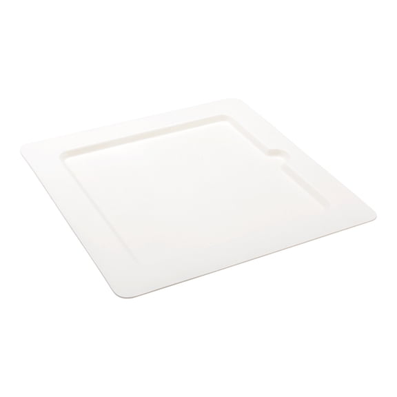 Restaurantware-Pulp Tek 9.7 Inch Eco-Friendly Plates, 100 Large Disposable Dinner Plates - Made From Natural Sugarcane Fibers, Heavy-Duty, White Bagasse Premium Plate, Sturdy, Modern