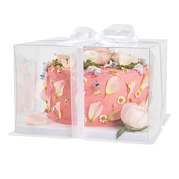 Sweet Vision Square Clear Plastic Cake Box - Black Base, Black Ribbon - 10" x 10" x 6 3/4" - 10 count box