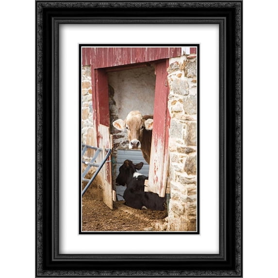 Resting 2x Matted 18x24 Black Ornate Framed Art Print by Aledanda