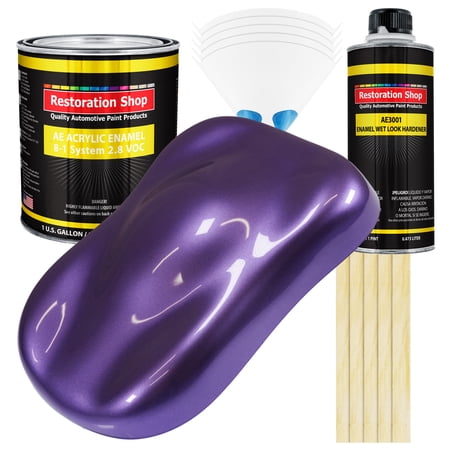 Restoration Shop - Plum Crazy Metallic Acrylic Enamel Auto Paint, Complete Gallon Paint Kit, Single Stage High Gloss price history and forecast - Restoration Shop RSP AE2516-KIT-M