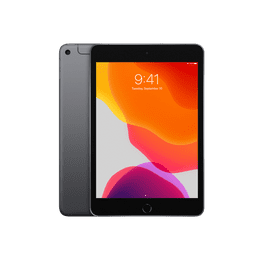 Restored Apple iPad Mini (1st Generation) 7.9-inch, Space