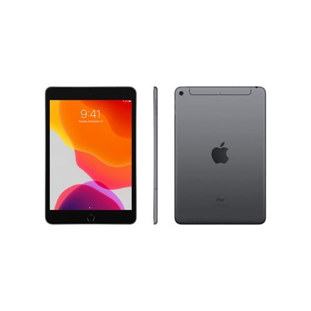 Restored 2019 Apple iPad mini Wi Fi+Cellular 256 GB Space Gray (5th Generation) (Refurbished)