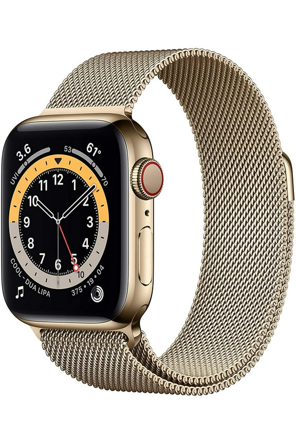 Restored Apple Watch Series 6 (GPS + LTE) 40mm Gold Stainless Steel Case & Gold Milanese Loop (Refurbished)