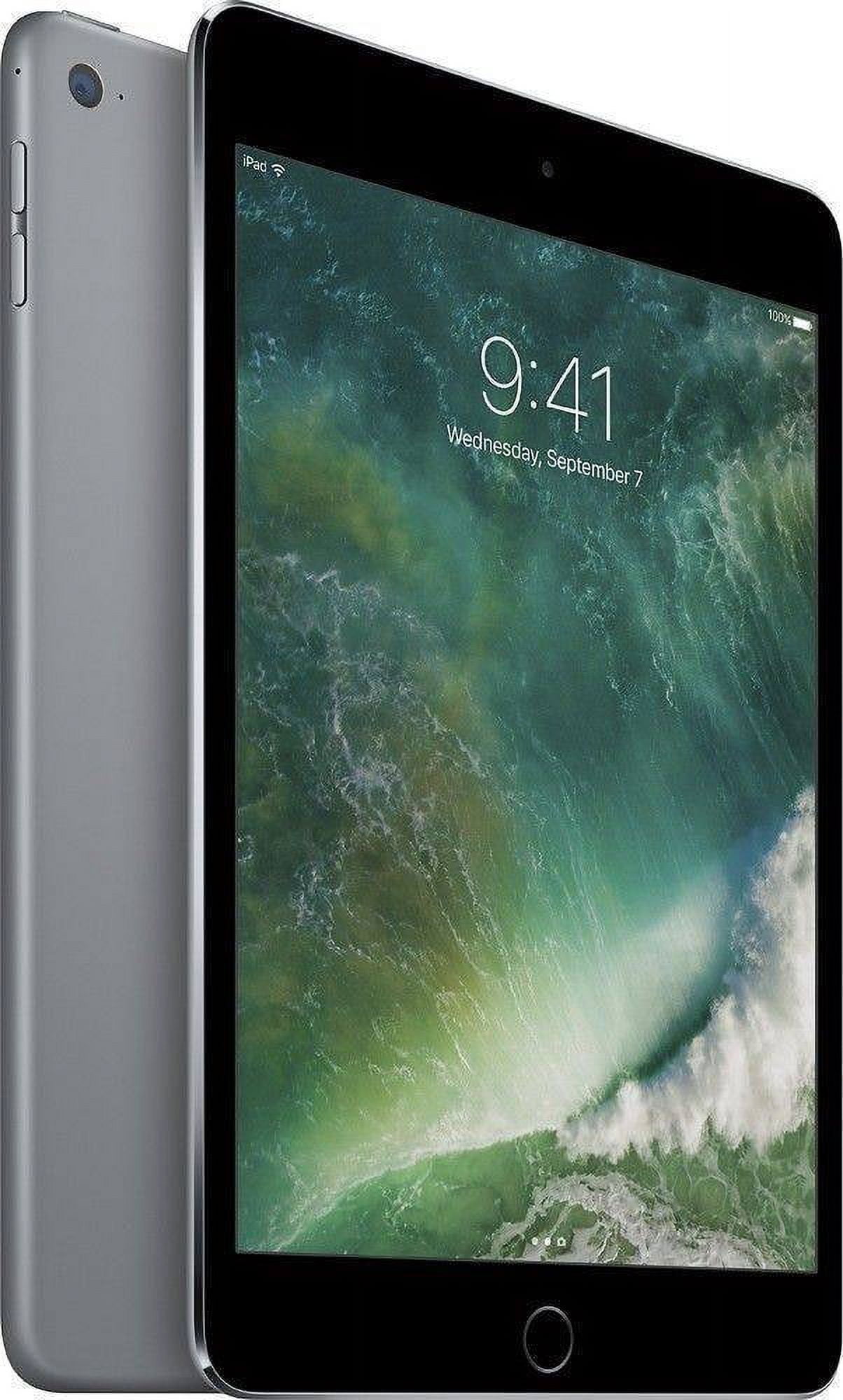 Apple iPad mini 4 64GB スペースグレイ apple-ipad-mini-4-64gb-wifi-4g