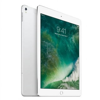 Refurbished iPad Pro 12.9 256GB WiFi Gris Sidéral (2018), Hors câble et  chargeur