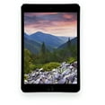 thumbnail image 1 of Restored Apple iPad mini 3 16GB Wi-Fi (Refurbished), 1 of 3