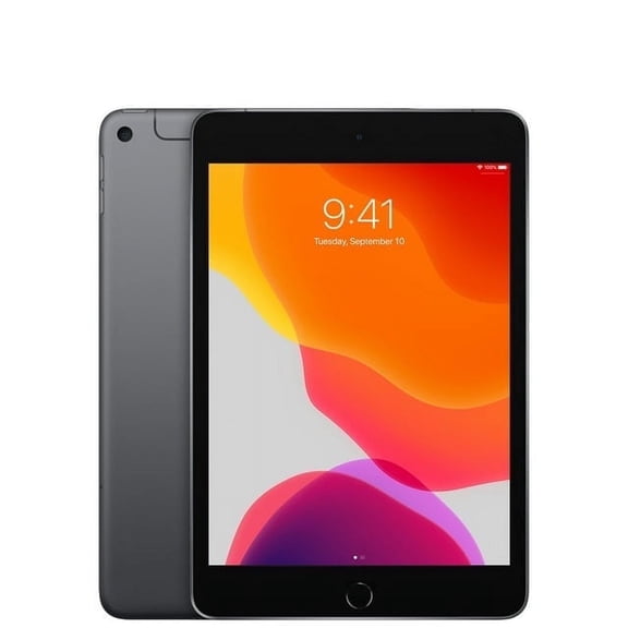 Restored Apple iPad mini 5th Gen (2019) WiFi Cellular Space Gray 256GB (Refurbished)