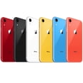 thumbnail image 1 of Restored GSM, Apple, A1984, Cell Phones, Water-Resistant, iPhone XR 64GB 3GB RAM 4G LTE iOS Smartphone, Black/6.1 in, 1 of 7