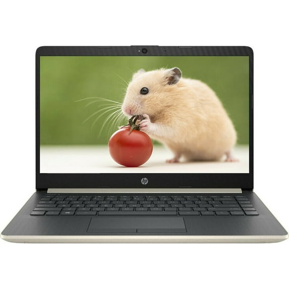 Restored HP Notebook 14-dk0011ds AMD A4-9125 Dual-Core 4GB 64GB eMMC 14" Pale Gold (Refurbished)