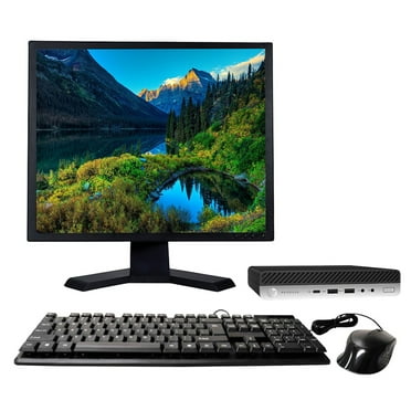 Restored HP ProDesk 600 G3 Micro Desktop Intel Core i5-6500T 2.50GHz 8GB RAM 256GB SSD Keyboard and Mouse Wi-Fi 19" LCD Monitor Windows 10 Pro PC (Refurbished)