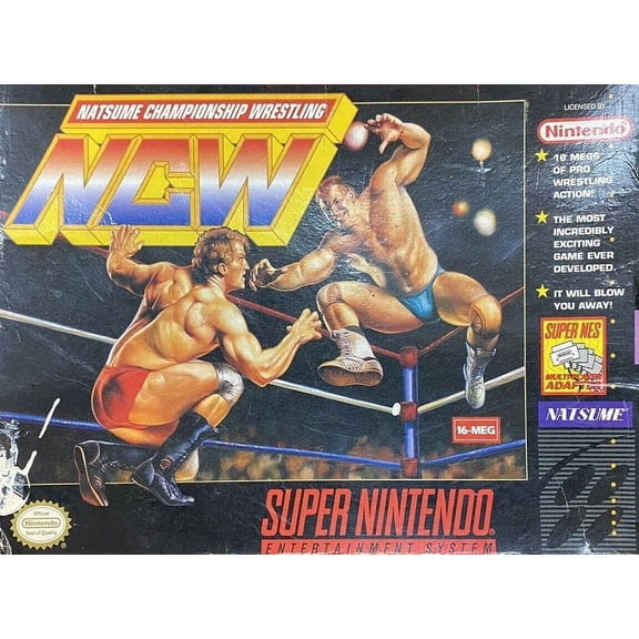Restored Natsume Championship Wrestling (Super Nintendo, 2000) SNES Fighting Game (Refurbished)