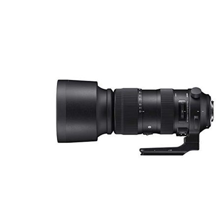 Restored Sigma 60-600mm f/22-32 Fixed Zoom F4.5-6.3 DG OS HSM Camera Lenses, Black (73095 (Refurbished)
