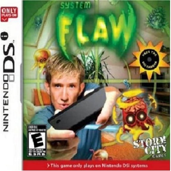 Restored System Flaw (Nintendo DSi, 2009)