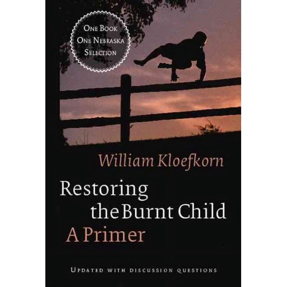 Restoring the Burnt Child : A Primer (Paperback)