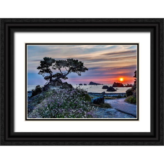 Restuccia, Joe III 24x17 Black Ornate Wood Framed with Double Matting Museum Art Print Titled - USA-California-Crescent City-Monterey Cypress