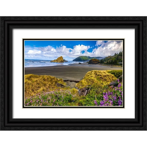 Restuccia, Joe III 24x17 Black Ornate Wood Framed with Double Matting Museum Art Print Titled - USA-Oregon-Cape Sebastian