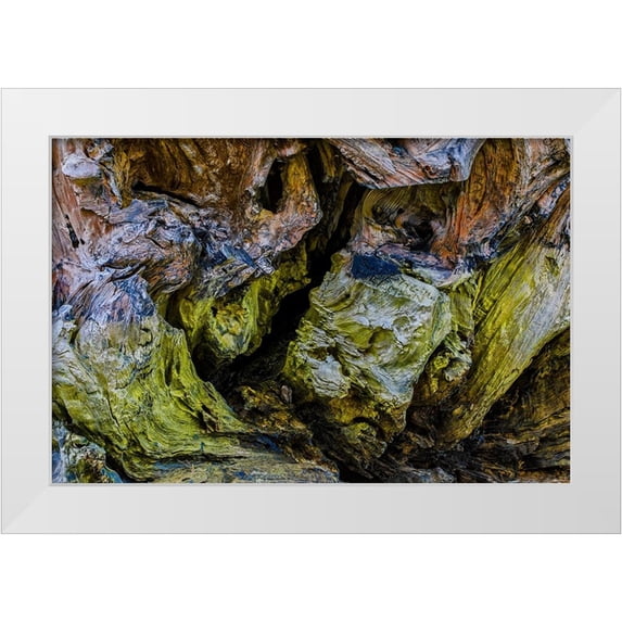 Restuccia, Joe III 32x23 White Modern Wood Framed Museum Art Print Titled - USA-Oregon-Bandon-Beach