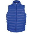 thumbnail image 1 of Result Mens Ice Bird Padded Bodywarmer / Gilet Jacket, 1 of 4