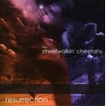thumbnail image 1 of Resurrection, 1 of 1