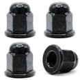 thumbnail image 1 of Retainer Nuts/Screws for Volvo 30640833 License Plates (Set of 4, Black, Rear), 1 of 4