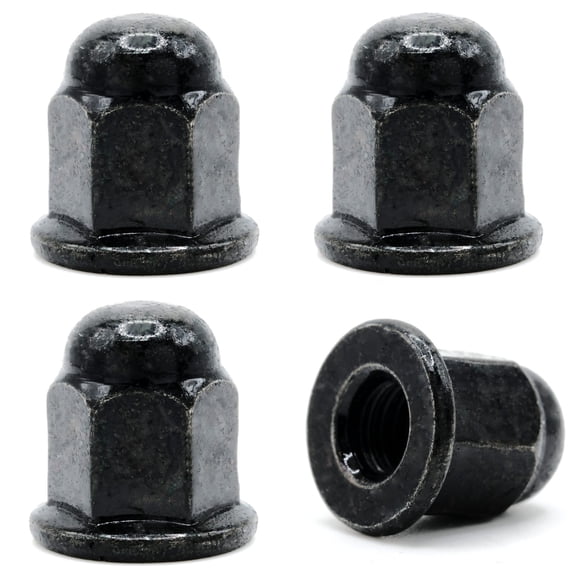 Retainer Nuts/Screws for Volvo 30640833 License Plates (Set of 4, Black, Rear)