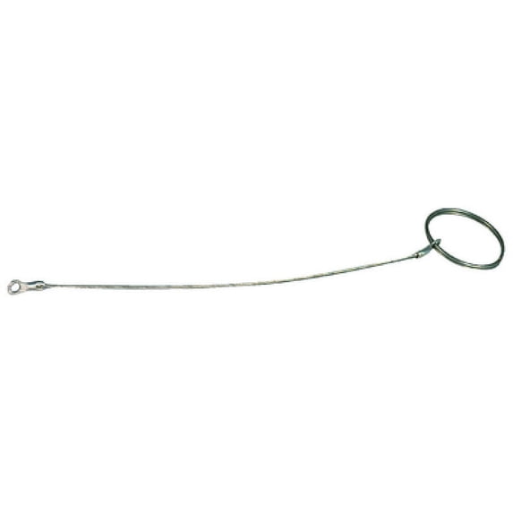 Retaining Cable W/ring-screw