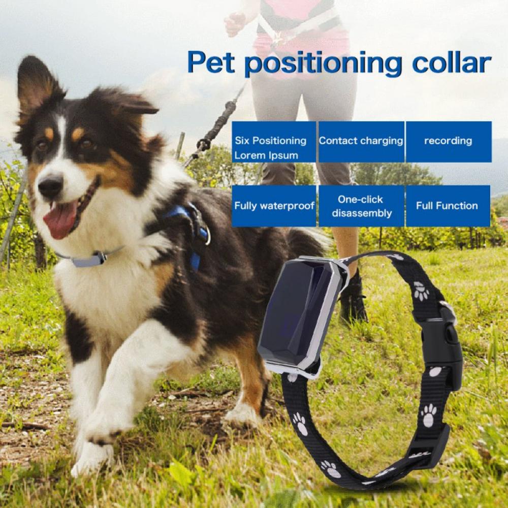 Gps geofence dog collar online