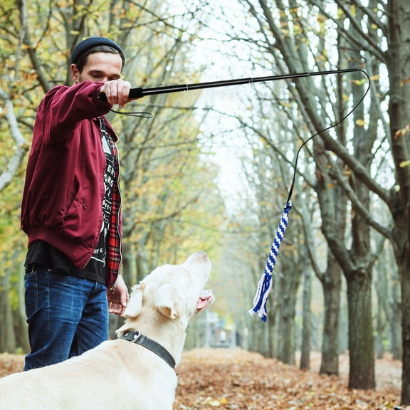 Retractable Dog Interactive Stick Extendable Flirt Pole Funny Chasing Tail Teaser and Exerciser for Pets (Black, Size L)