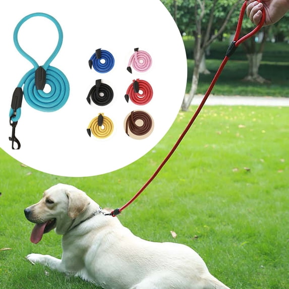 Retractable Dog Leash for Small Dogs Durable Nylon Walking Lead with Comfortable Padded Handle Reflective Stitching for Night Walking Safety