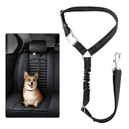 Petsafe seat belt hot sale